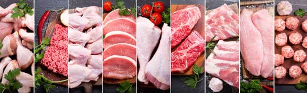 Frozen chicken supplier